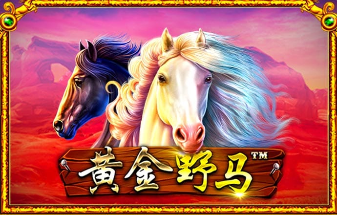 风云体育官网登录